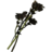 SR-icon-ingredient-Tundra Cotton.png